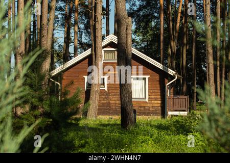 Gemütliches kleines Holzhaus in einem Kiefernwald im Sommer. Rustikale ruhige Hütte Retreat in der Natur ländlichen Gegend Stockfoto