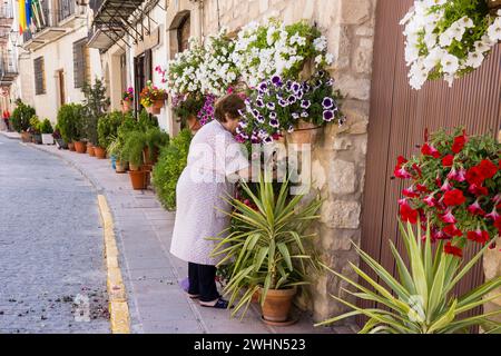 Macetas de flores en la calle Stockfoto