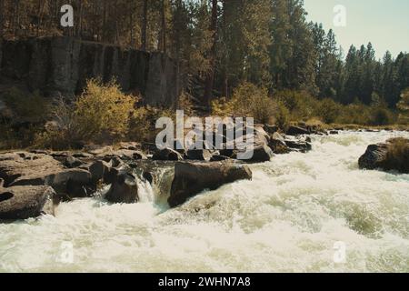 Das ist der Deschutes River. Ich habe das vom Deschutes River Trail in Bend, Oregon, aufgenommen. Stockfoto