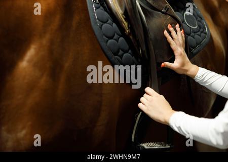 Die Reiterin Jockey bei Stallvorbereitung setzt sich auf den Sattel bei Pferderennen oder Springwettbewerben. Stockfoto