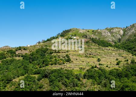 Aussichtspunkt von Sistelos Terrassen Stockfoto