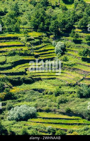 Aussichtspunkt von Sistelos Terrassen Stockfoto