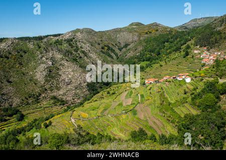 Aussichtspunkt von Sistelos Terrassen Stockfoto