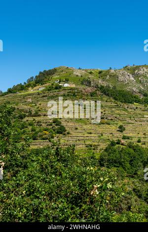 Aussichtspunkt von Sistelos Terrassen Stockfoto