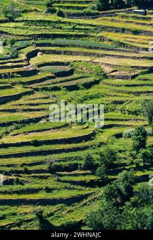 Aussichtspunkt von Sistelos Terrassen Stockfoto