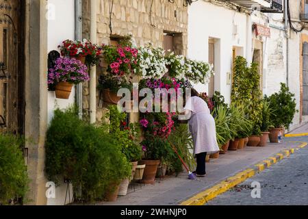 Macetas de flores en la calle Stockfoto