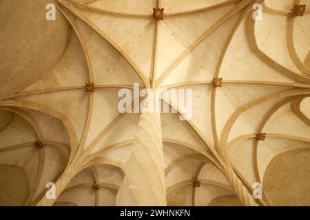 Columnas estriadas en espiral.La Llotja Stockfoto