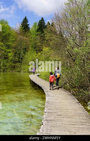 Parque Nacional de los Lagos de Plitvice Stockfoto