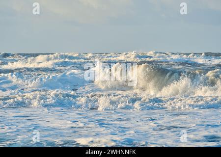 Große Wellen an der stürmischen Nordseeküste in dänemark Stockfoto