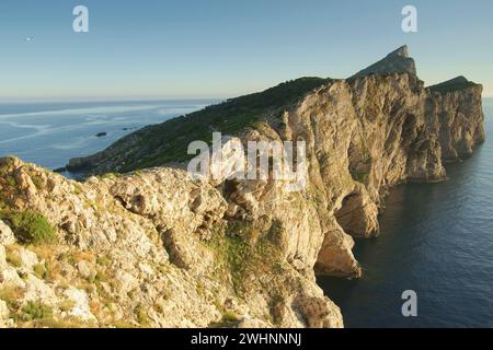 Parque Natural de Sa Dragonera.Andratx.Ponent.Mallorca.Baleares.EspaÃ±a. Stockfoto