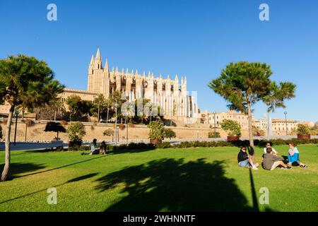 Parque del Mar y Catedral de Mallorca Stockfoto