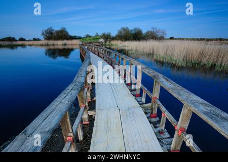 Parque nacional Tablas de Daimiel Stockfoto