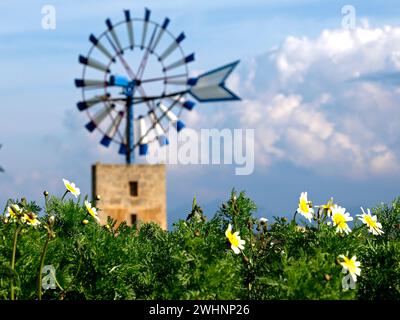 Molinos para extraccion de Agua (s.XIX-XX). Cami de Sa pedra rodona.Campos.Comarca de Migjorn. Mallorca. Baleares.EspaÃ±a. Stockfoto