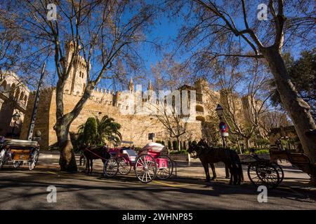 Galeras de caballos frente al Palacio Real de La Almudaina Stockfoto