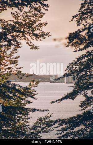 Blick auf Flensburg über den Flensburger Fjord Stockfoto