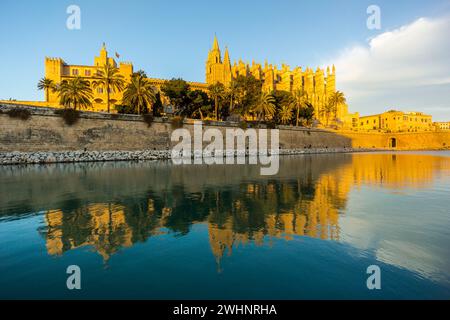 Catedral-BasÃ­lica de Santa MarÃ­a de Palma de Mallorca Stockfoto