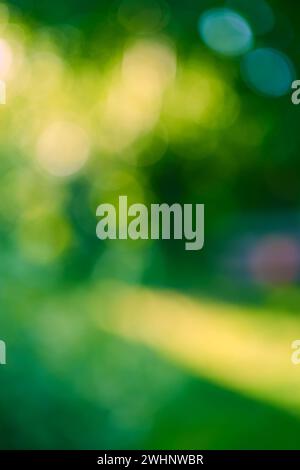 Abstrakter, grüner Natur-Bokeh-Hintergrund-Garten Stockfoto