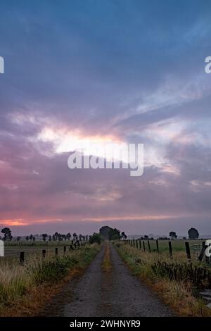 Panoramablick aus der Vogelperspektive romantischer rosafarbener Himmel bei Sonnenaufgang über einer natürlichen ländlichen Gegend mit Feldern und Bäumen. Abstrakte Natur-Hintergras Stockfoto