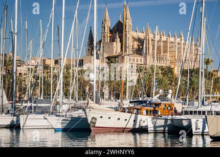 Catedral de Palma desde Moll de la Riba Stockfoto