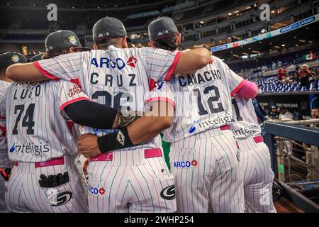 MIAMI, FLORIDA - 1. FEBRUAR: Equipo de los Naranjeros de Mexico , Team von Naranjeros de Hermosillo of Mexico , während eines Spiels zwischen Curazao und Mexiko im loanDepot Park als Teil der Serie del Caribe 2024 am 1. Februar 2024 in Miami, Florida. (Foto: Luis Gutierrez/Norte Photo) Stockfoto