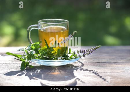 Pfefferminztee aus frischen Blättern in einer Glasschale und blühende Zweige daneben auf einem rustikalen Holzgartentisch an einem sonnigen Tag, g Stockfoto