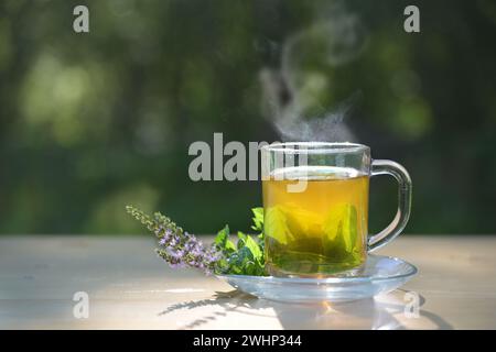 Dampfender Kräutertee aus frischen Pfefferminzblättern in einer Glasschale, daneben liegen blühende Zweige auf einem Holztisch im Stockfoto