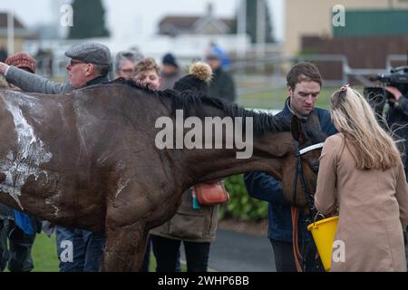 5. Rennen in Wincanton 2. März 2022 - Mares' Handicap Hürde Stockfoto