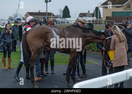 5. Rennen in Wincanton 2. März 2022 - Mares' Handicap Hürde Stockfoto