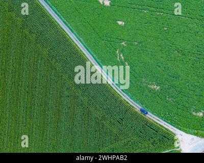 Ländliche Kreuzungen: Luft-Sommer-Landschaft Stockfoto