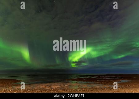 Aurora borealis über dem Meer in Island Stockfoto