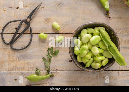 Frische und rohe grüne Bohnen Stockfoto