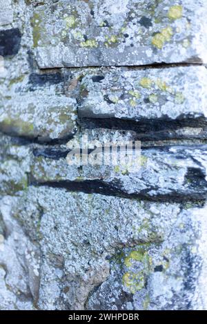 Graue Steinmauern auf einer alten Stadtmauer um ein Schloss Stockfoto