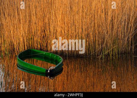 Parque nacional Tablas de Daimiel Stockfoto