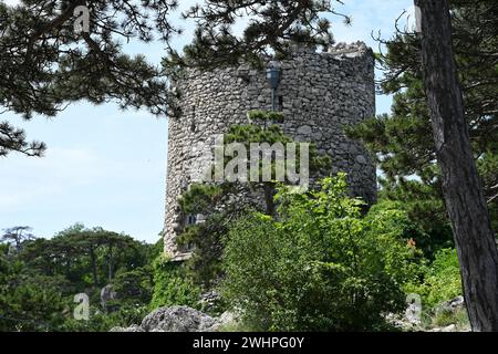 Künstliche Ruine des schwarzen Turms, Österreich Stockfoto