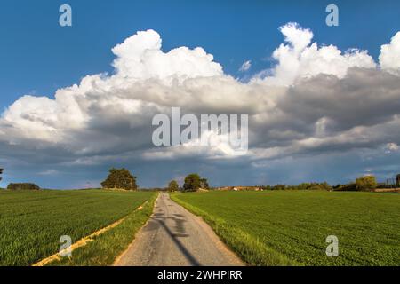 Landschaft mit kleinen Kiefernwäldern, Feldern, Dorf, Straße und Cumulus Wolken Stockfoto