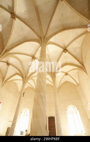 Columnas estriadas en espiral.La Llotja Stockfoto