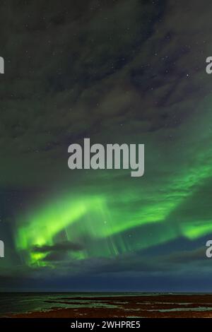 Aurora borealis über dem Meer in Island Stockfoto