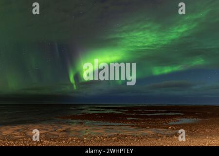 Aurora borealis über dem Meer in Island Stockfoto