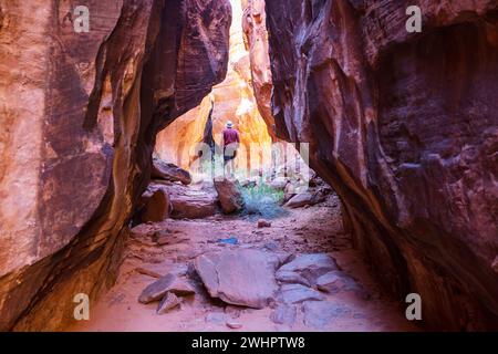 Slot Canyons sind ein typisches Landschaftsmerkmal im Südwesten der USA, Utah Stockfoto