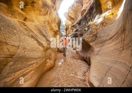 Slot Canyons sind ein typisches Landschaftsmerkmal im Südwesten der USA, Utah Stockfoto