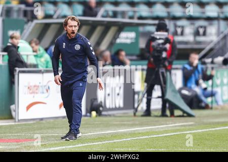 Den Haag, Niederlande. Februar 2024. DEN HAAG, 11.02.2024, Bingoal Stadion, niederländischer Keuken Kampioen Divisie Football, Saison 2023/2024, FC den Bosch Trainer Tomasz Kaczmarek während des Spiels ADO den Haag und FC den Bosch Credit: Pro Shots/Alamy Live News Stockfoto