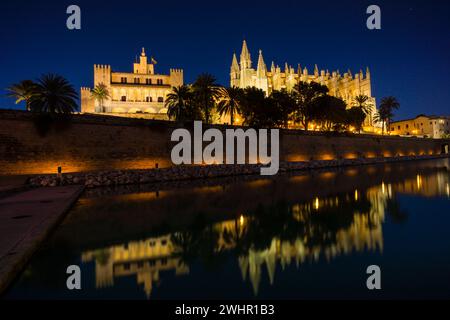 Catedral-BasÃ­lica de Santa MarÃ­a de Palma de Mallorca Stockfoto