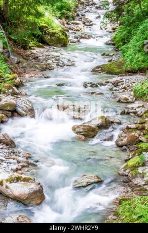 Waldgebirgsfluss, der über Felsen fließt Stockfoto