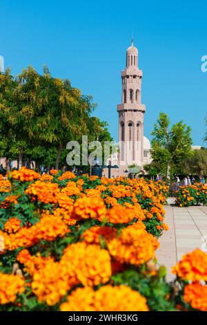 Das Minarett der Sultan Qaboos Grand Mosque in Muscat Oman bei sonnigem Tag, niedriger Blickwinkel, orangefarbene Blumen im Vordergrund Stockfoto