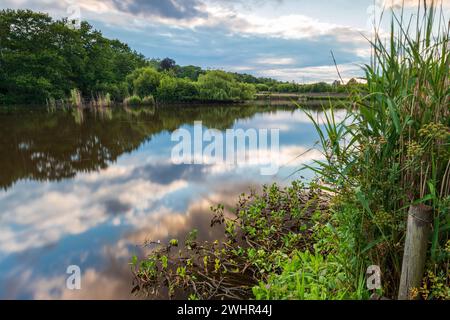 Mill Park und Mill Pond in Bracknell, Berkshire. Sonnenuntergang, goldene Stunde, lange Zeit ausgesetzt. Stockfoto