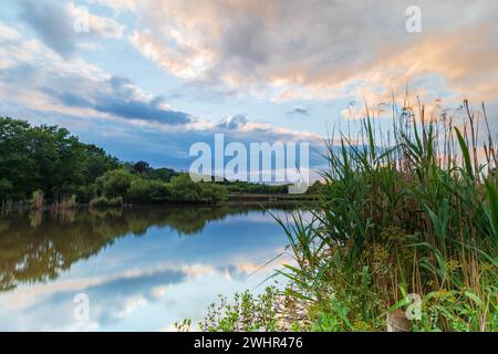 Mill Park und Mill Pond in Bracknell, Berkshire. Sonnenuntergang, goldene Stunde, lange Zeit ausgesetzt. Stockfoto