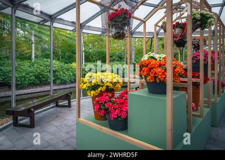 Duftende frische, bunte Frühlingsblumen auf dem Stand. Verschiedene bunte Blumen auf dem Stand in der Blumenausstellung, Lisse, Keukenhof, Niederlande, EU Stockfoto