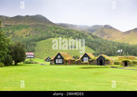 Bewachsene typische ländliche isländische Häuser am bewölkten Tag Stockfoto