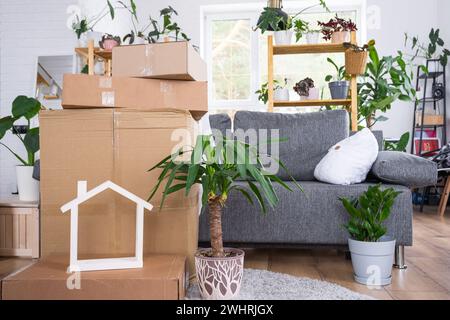 Im Zimmer des neuen Hauses befinden sich Kisten mit Sachen zum Umziehen und Haus Pflanzen. Einweihung, Familieneigentum, Frachttransport Stockfoto