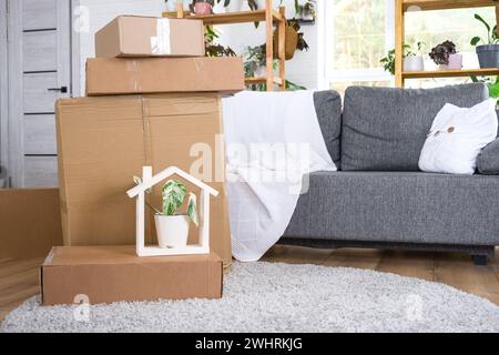 Im Zimmer des neuen Hauses befinden sich Kisten mit Sachen zum Umziehen und Haus Pflanzen. Einweihung, Familieneigentum, Frachttransport Stockfoto